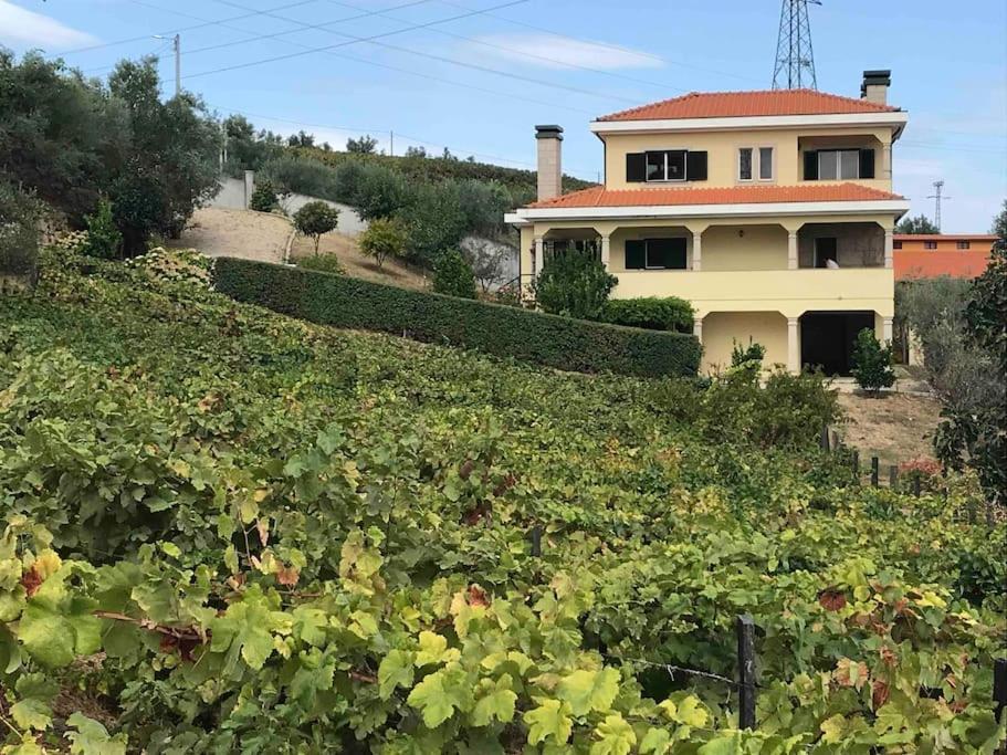 Villa Casa Dos Copins Lamego Exterior foto